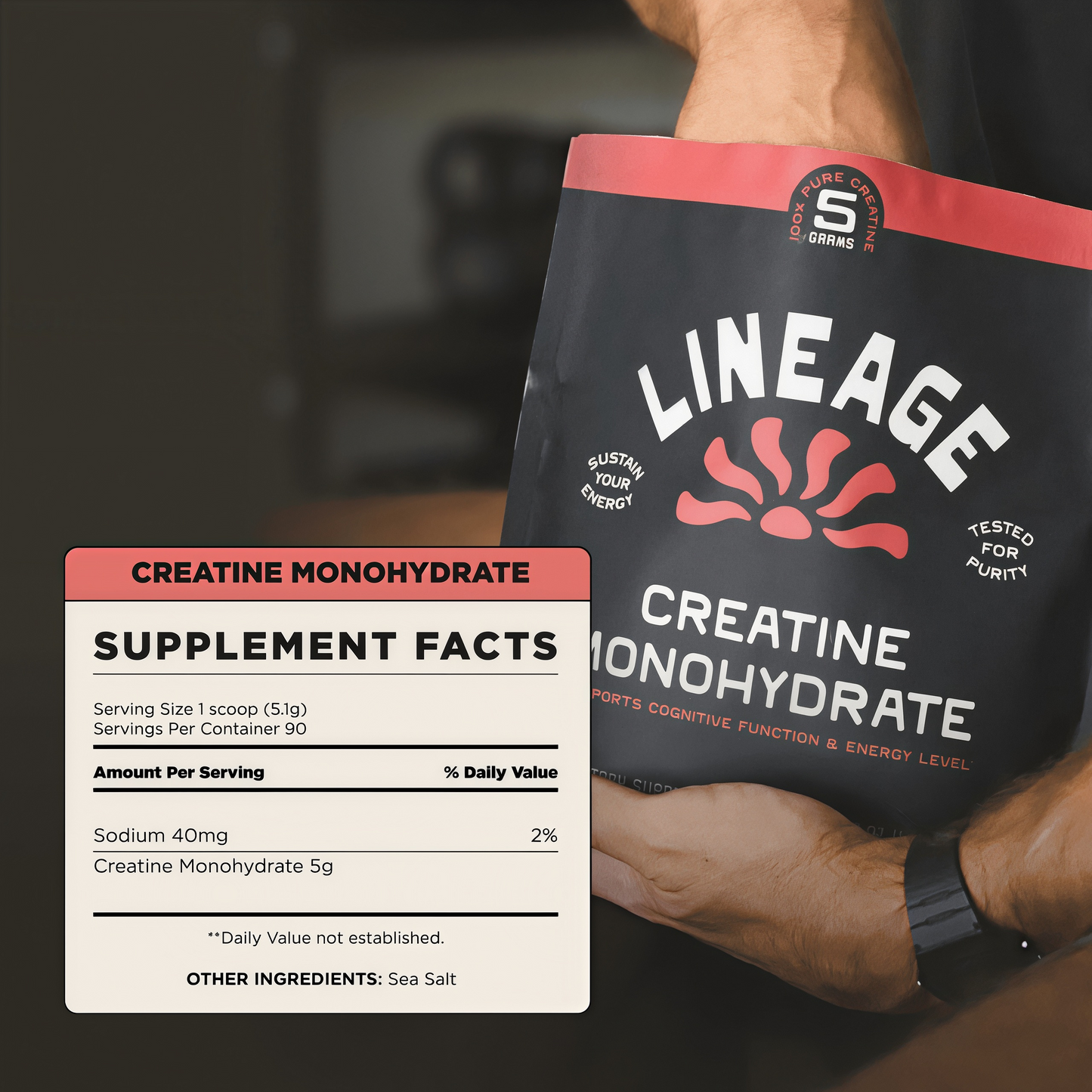 Lineage Provisions Creatine Monohydrate