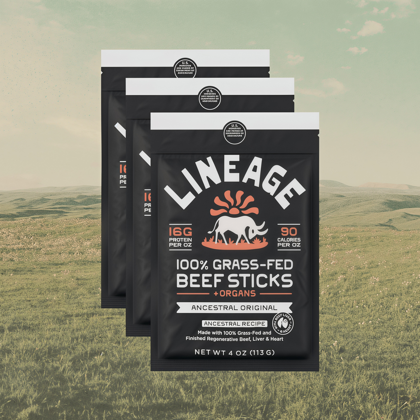 Lineage Provisions  100% Grass-Fed Beef Sticks – Ancestral Variety Pack