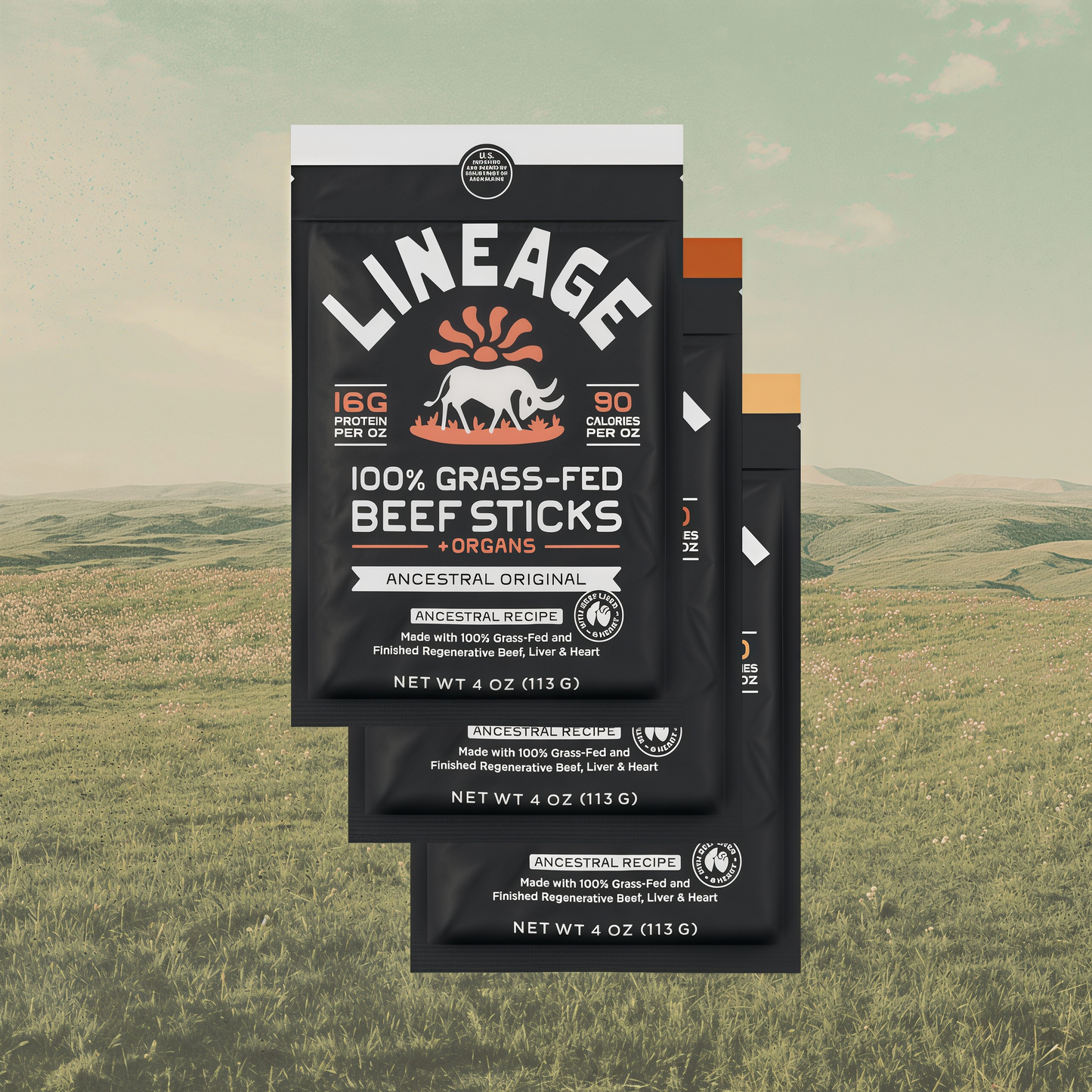 Lineage Provisions  100% Grass-Fed Beef Sticks – Ancestral Variety Pack