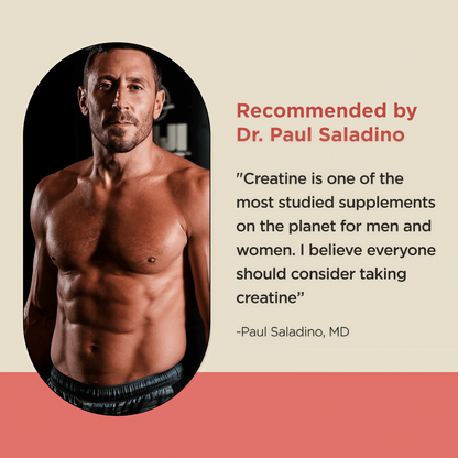Lineage Provisions  Creatine Monohydrate